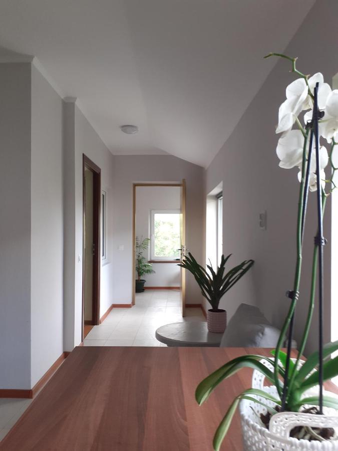 Muzicii 11 - Cozy Seaside Apartments Năvodari Esterno foto